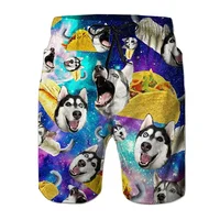 3D Printed Cat Dog Eagle Short Pants For Men Animal Food Pattern Beach Shorts Summer Casual Street Sport Quick Dry Swim Trunks 2