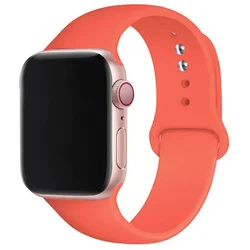 Silicone Sport Wristband for 38 40 41mm-S10 42 (45 Citrus)