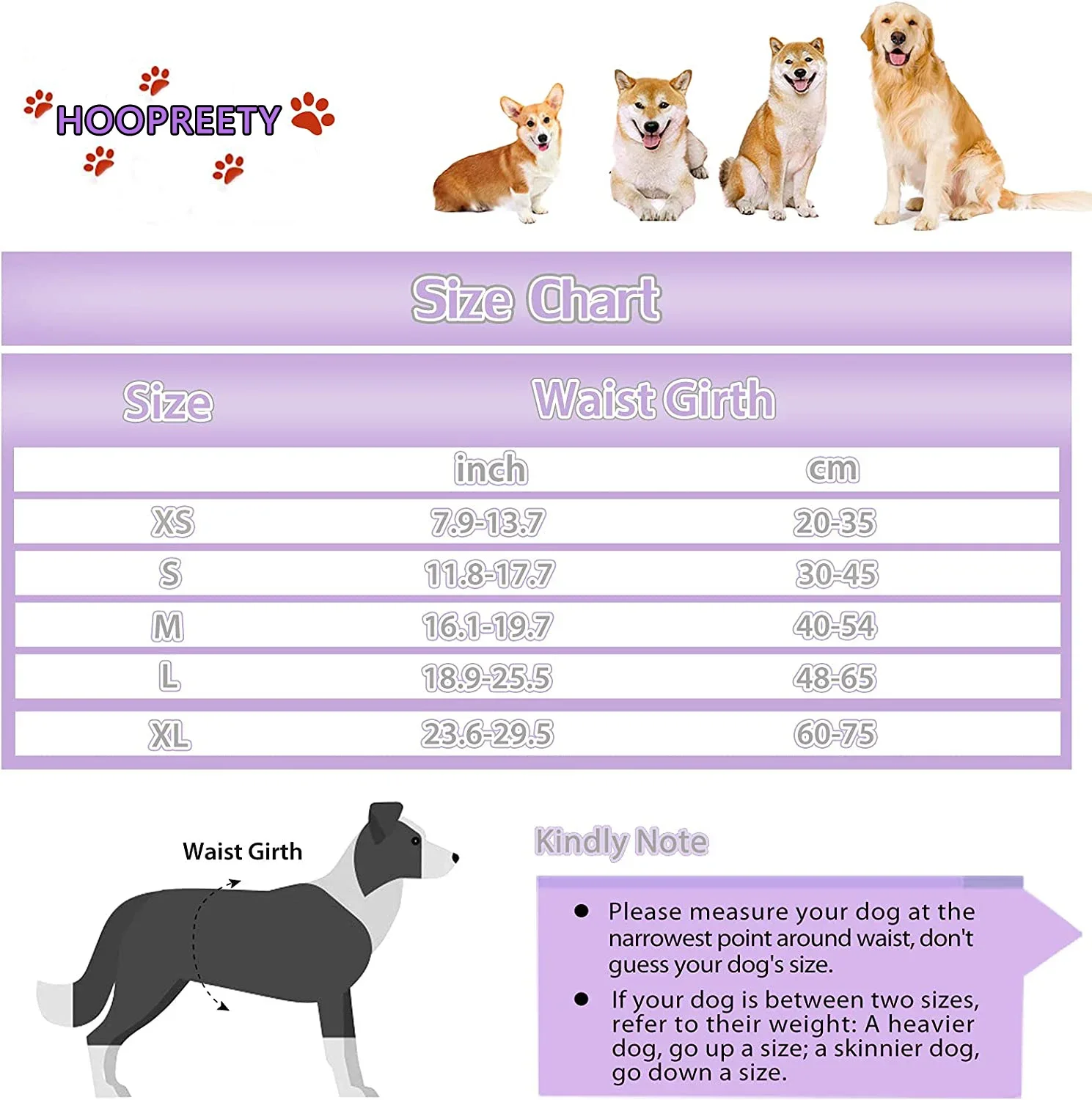 Reusable Female Dog Diapers - Image 6