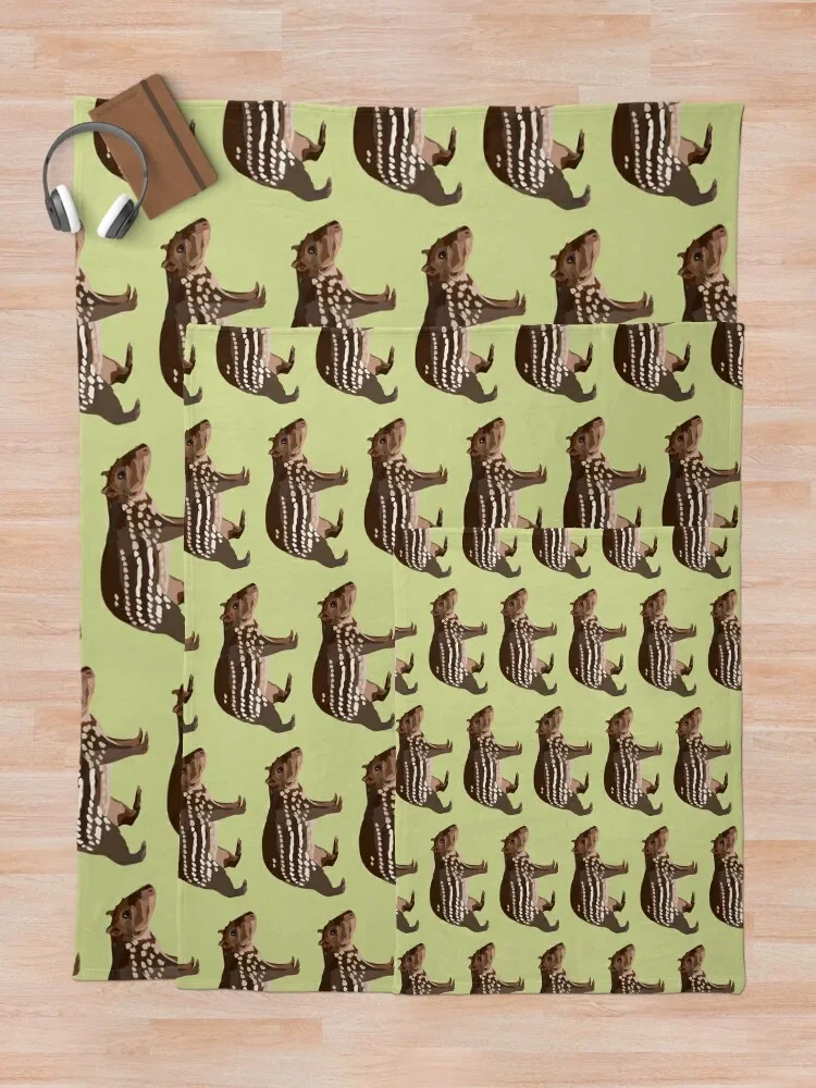 Paca Throw ���, ���� ���, ��� ħ�� ���