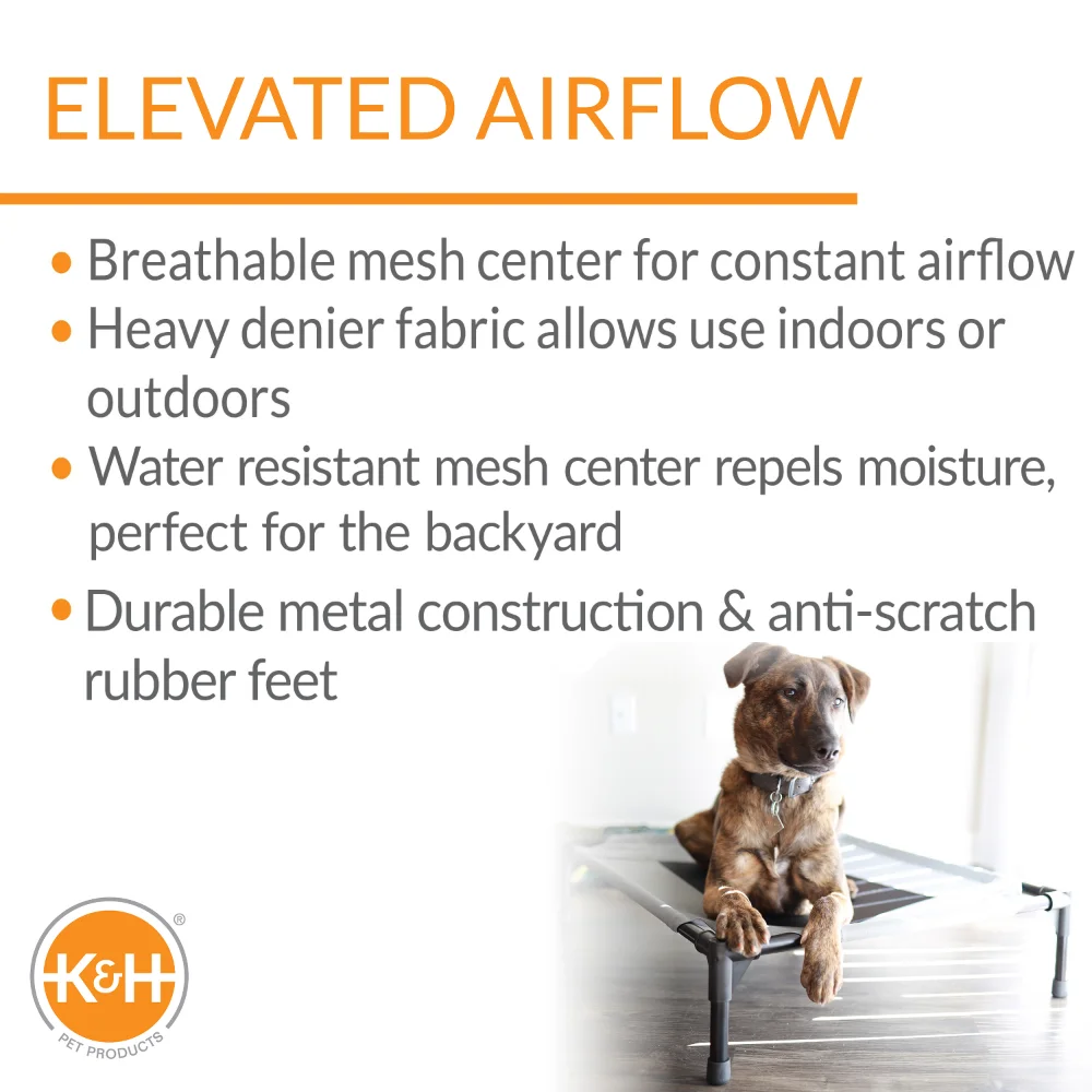 Elevated Pet Bed 4