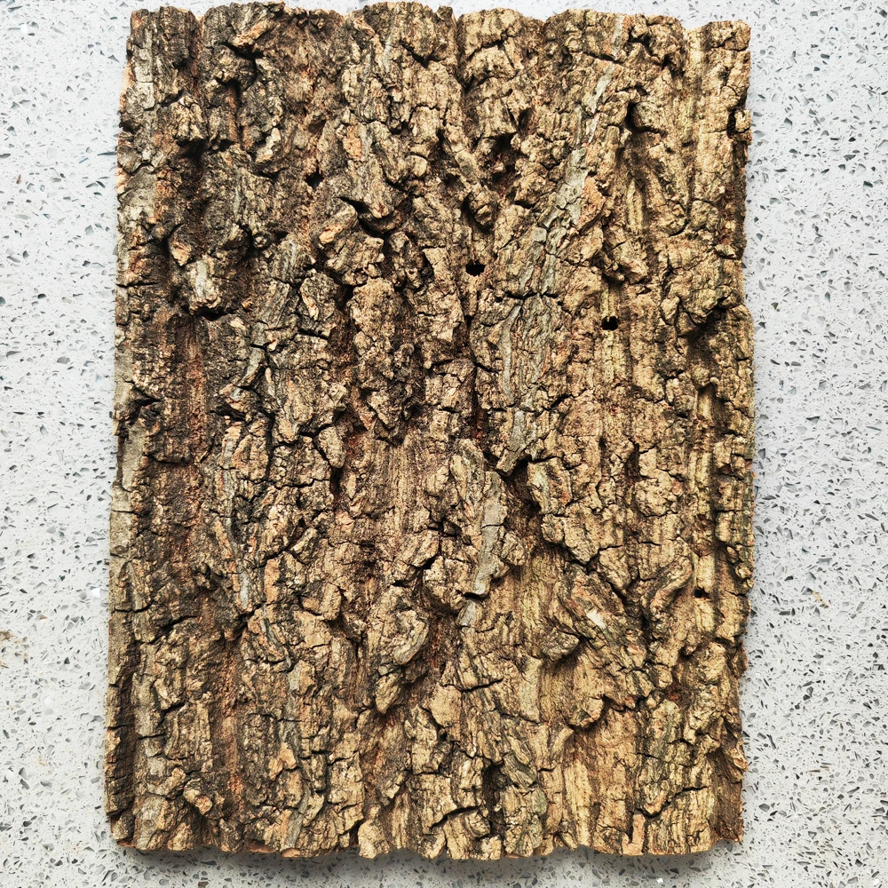 DriftWoodFishtankOrnamentsRealtreebarkforFishAquariums