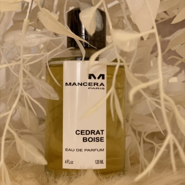 MANCERA Parfum de Luxe pour Homme, Parfums Arabes 120ml, Parfums et Colognes Longue Durée, Senteur Boisée Riche, Profonde, Élégante et Raffinée 1
