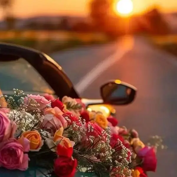 YT Car Accessories Store