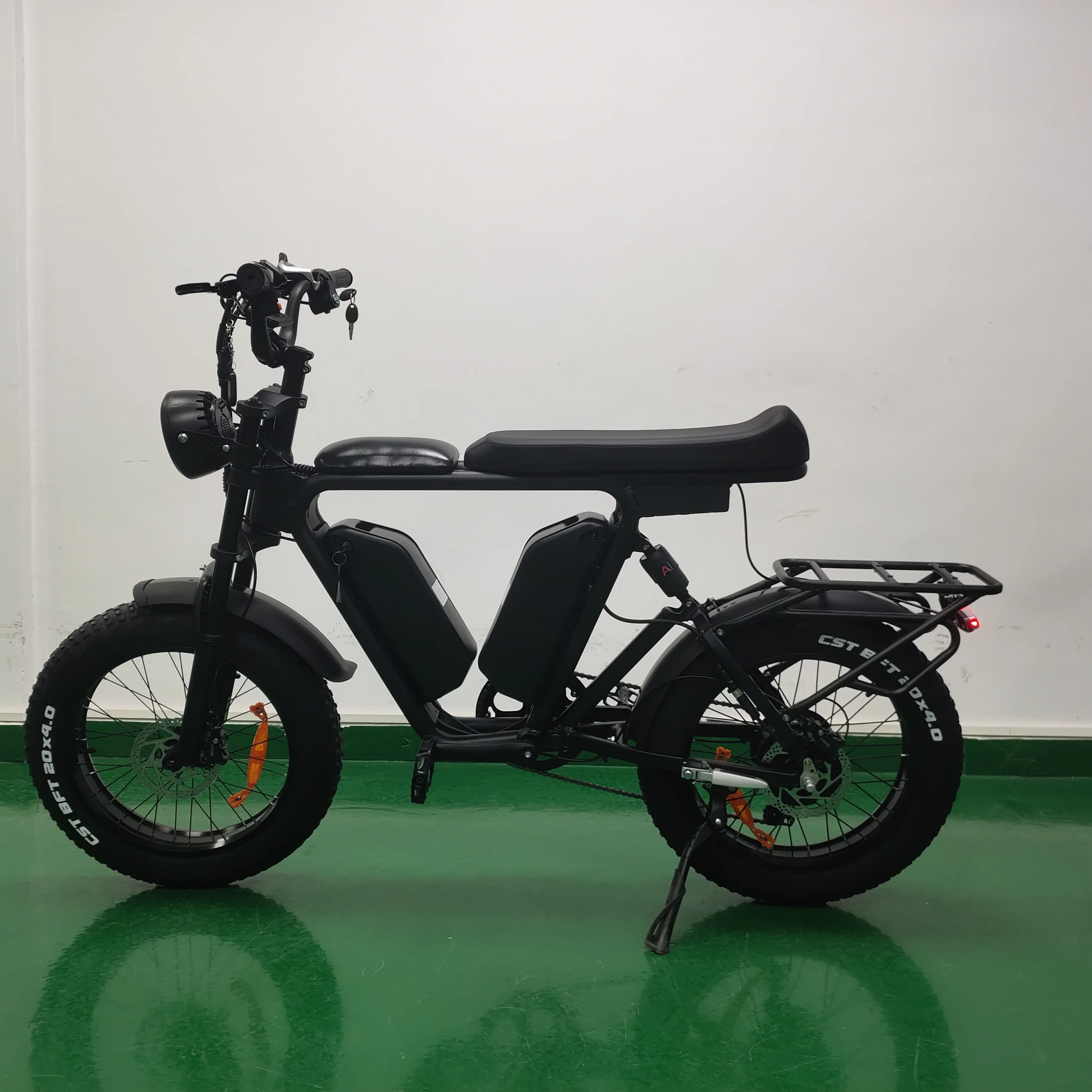 Long Range Electric EBike 22ah*2 Dual Batteries E Bike 1000w 48v Fat Tire Bicycle