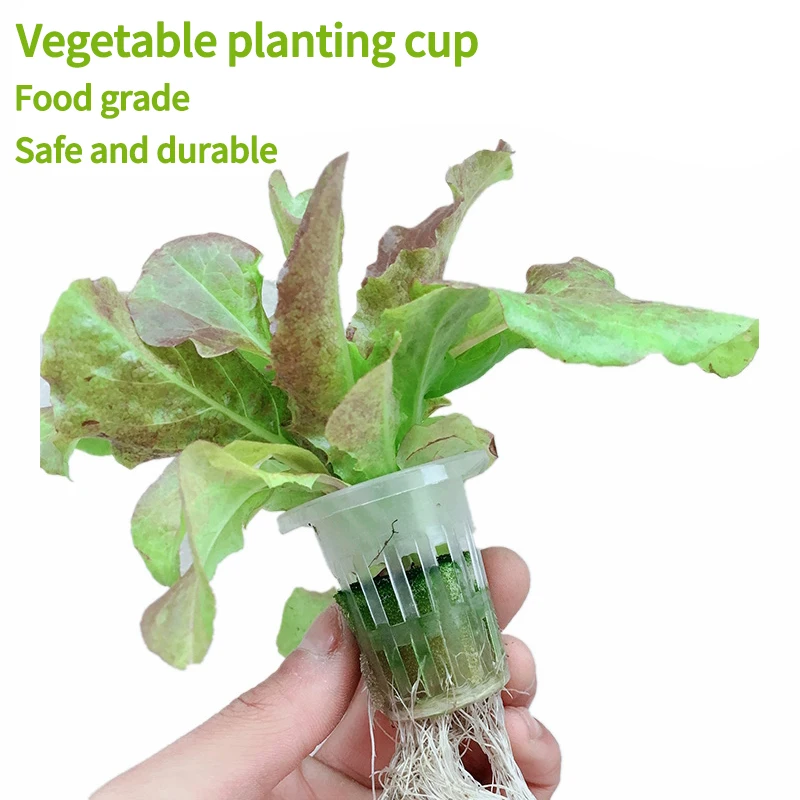 10Pcs Hydroponic Colonization Net Basket Plant Nursery Cup Pot Aeroponic Vegetable Planting Grow Soilless Culture Sponge Tray nursery pots,plant propagation pots,hydroponic plant pots