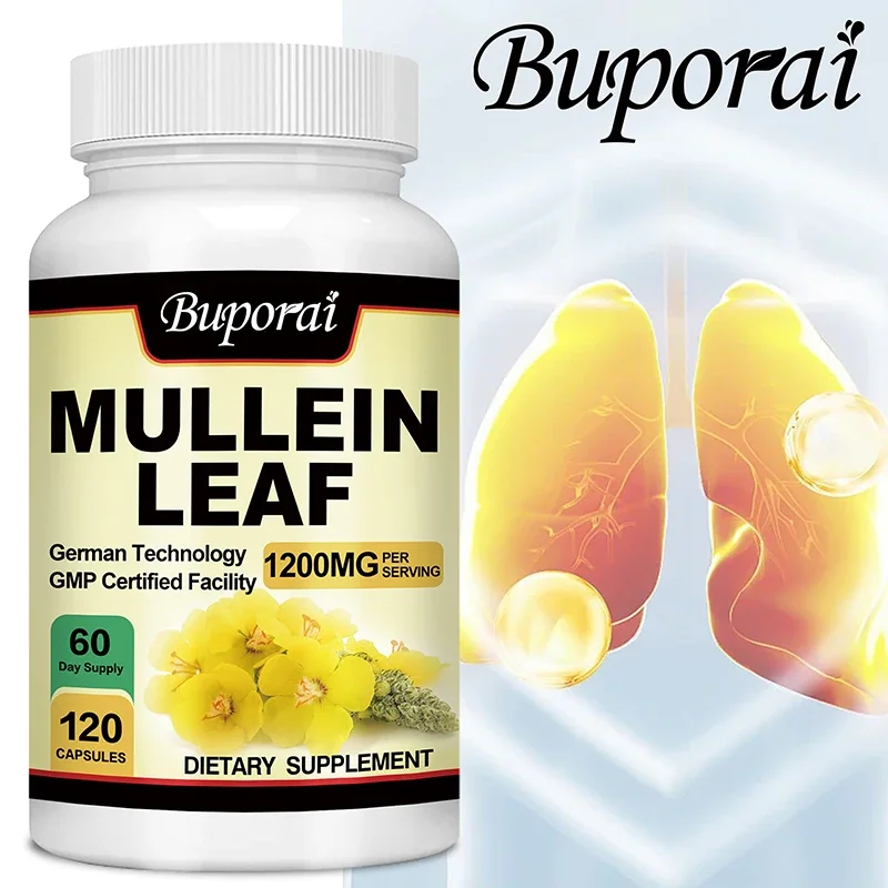 Mullein Leaf-Clean The Lung Protecting The Respiratory System Relieve Phlegm and Cough Immune Support mullein leaf extract