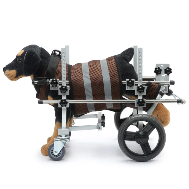 뒷다리 마비 강아지에 새로운 이동성을 선사하는 혁신적인 강아지 휠체어 자동차