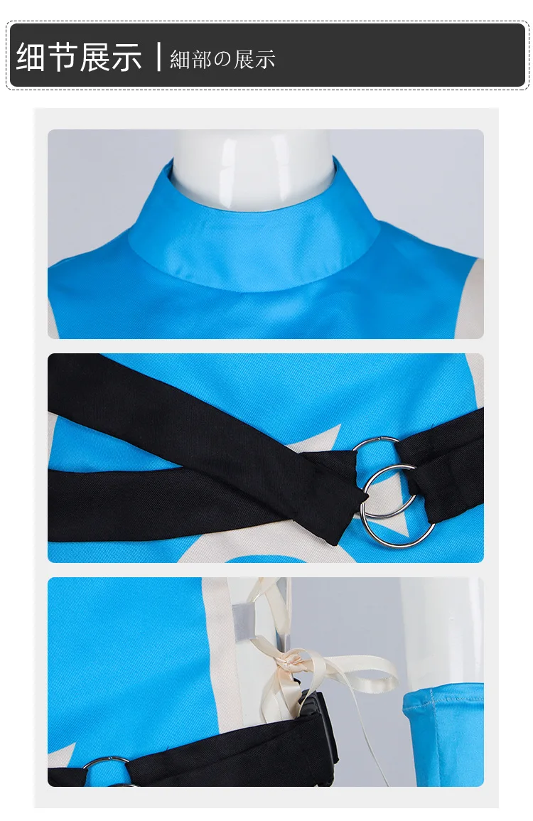 Valiant Hero Assassin Princess Cosplay Costume