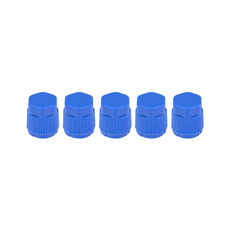 Air Conditioning Charging Port Caps 5 Pairs for Multiple Brands