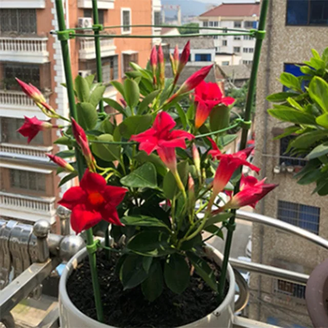 2 db Kerti Növényi Tartó Téthalom Keret Műanyag Virágállvány Rögzítő Rúd Bonsai Szerszám Üvegházhatású Paradicsom Bazsarózsa Ketrechez - Image 5