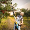 Cordless Electric Pruning Shears with 2 Spare 2.0ah Lithium Batteries (1.44-2m)Extension Pole Tree Branch Cutting Machine 3