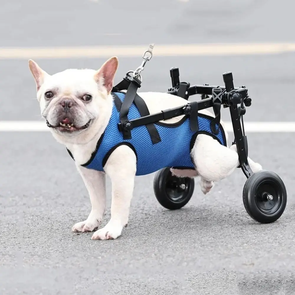 

Walking Wheels Pet Walk Booster Light Adjustable Dog Wheelchair Cart Blue Pet Walk Tool Pet Hind Legs Bracket Disability Dog