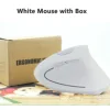 White Mouse and Box