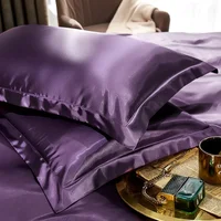 2PCS 100% Pure Silk Pillowcase Cool Real Natural Silk Pillow Covers Double-sided  Mulberry Silk Pillowcase Summer Washable 1