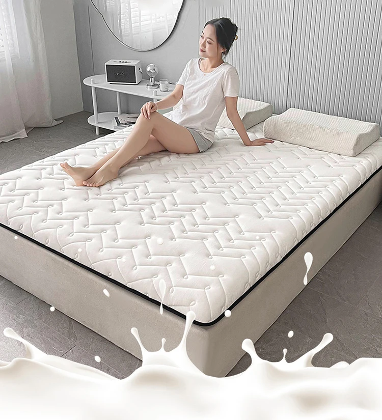 Description Picture 2 of itemDropshipping Customizable Size Mattress Soft Mattress Home Tatami Mat Was The Floor Mat Student ZHA12-23999