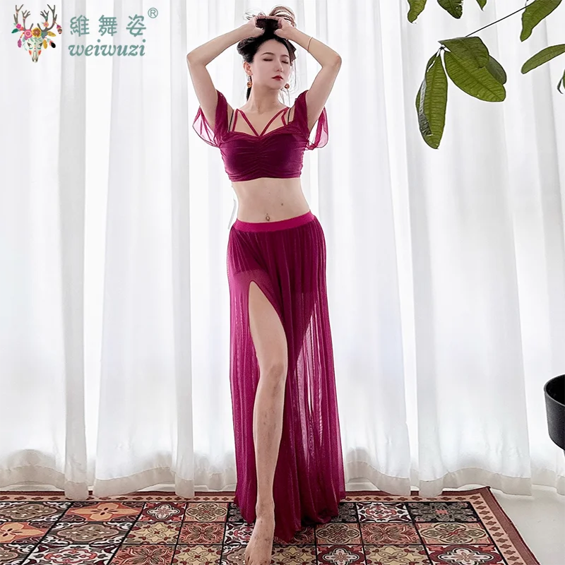Belly Dance Practice Set for Women Mesh Long Sleeves Top+