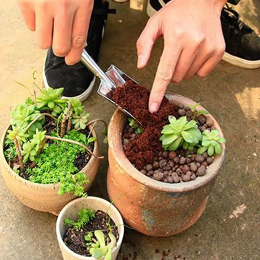 Description Picture 4 of itemStainless Steel Small Spade Flower Planting Garden Tool Potted Vegetable Planting Shovel Rake Gardening Digging