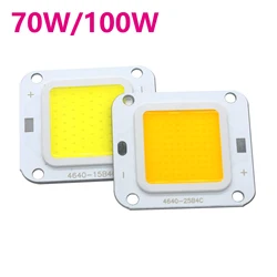 Enhanced LED COB Lamp Bead for Outdoor Flood Lights and Spotlights (Cold White 6500K)