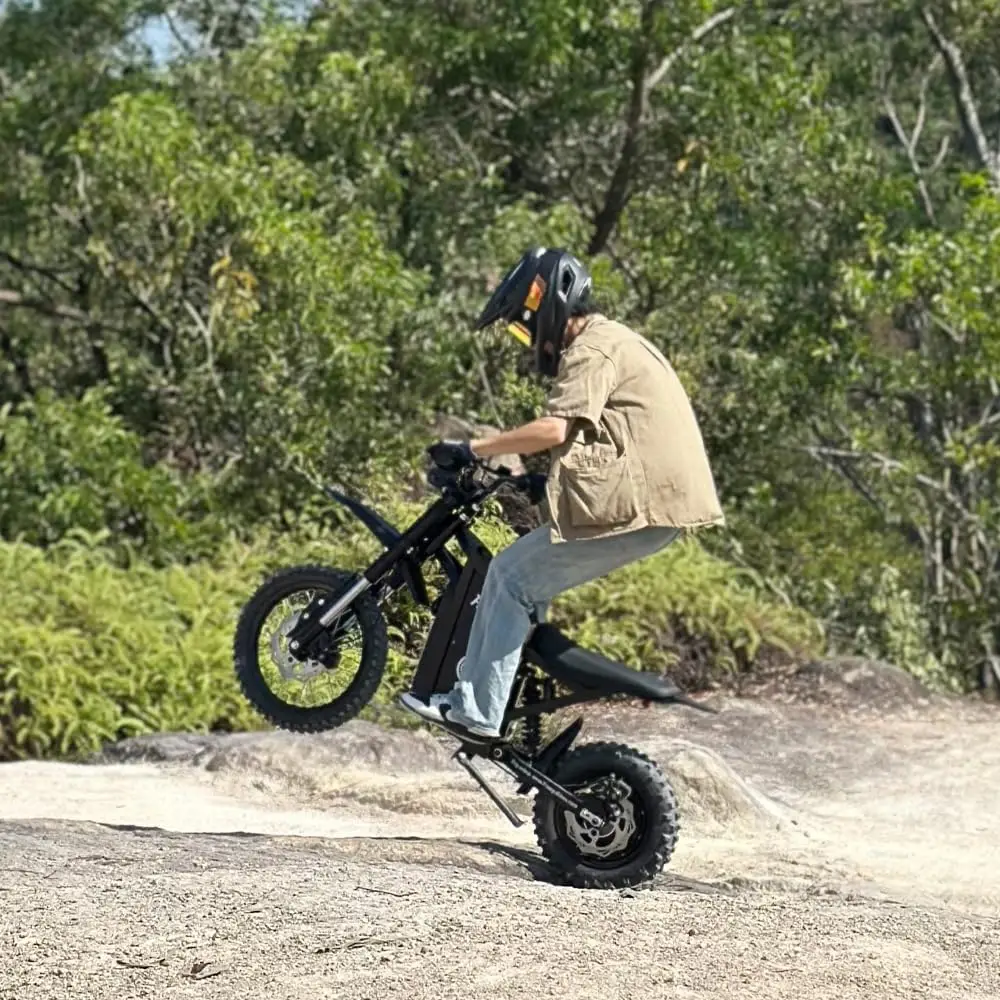 Freego X0 Electric Dirt Bike for Adults/Teens 3600W Motor Electric Motorcycle 60V Battery 40MPH Dual Hydraulic Disc Brakes eBike