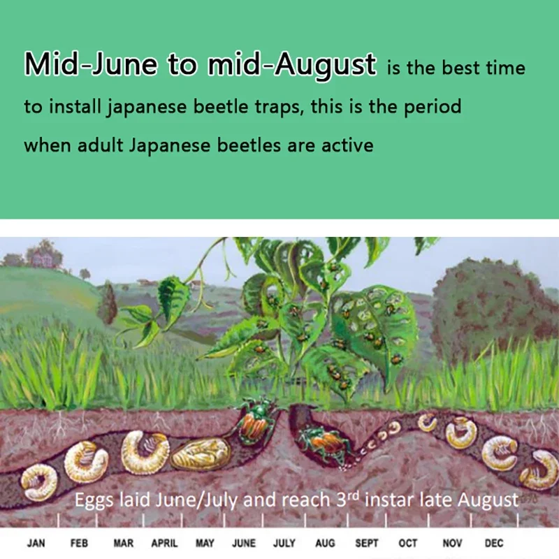 Insect Traps Insect Catcher Outdoor Reusable Plastic Insect Control Popillia Japonica Catcher Japanese Beetle Trap