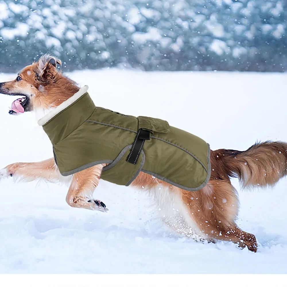ReflectiveWinterLargeDogClothesforFrenchBulldogGreenBlueRed