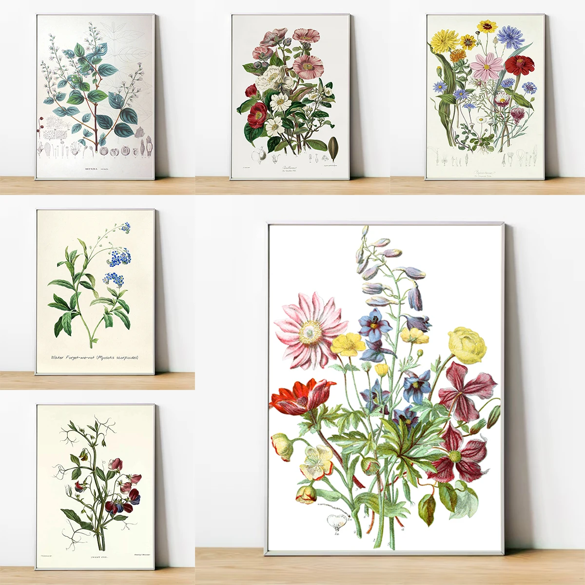 

Botanical Herb Plants Flower Retro Poster Home Decorations for the Room Decor Wall Decoration Painting Decorative Paintings Art
