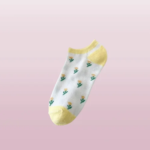 Рисунок 6 - Женские весенне-летние носки 5/10 пар