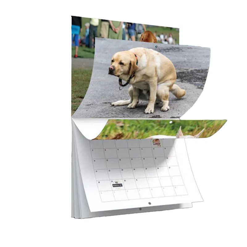 dog-pooping-wall-calendar-2024-pooches-with-beautiful-places-calendar-for-family-planner-daily-organisers-with-monthly-puppies-aliexpress