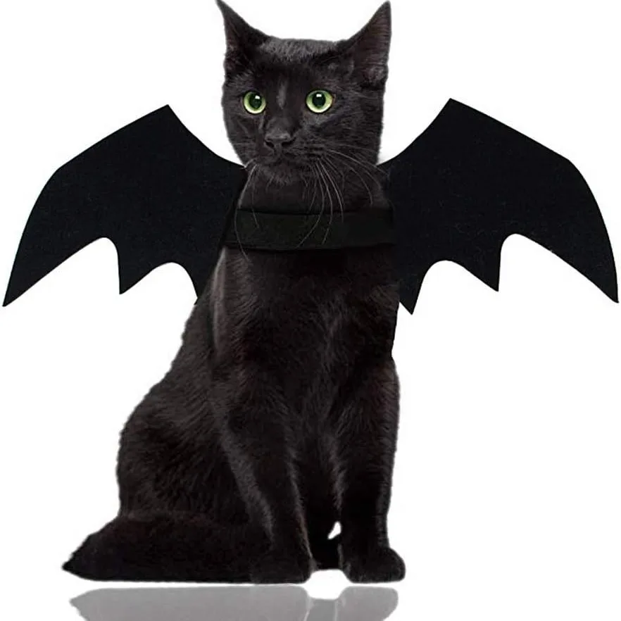 Bat Wings Costume for Dogs and Cats 1