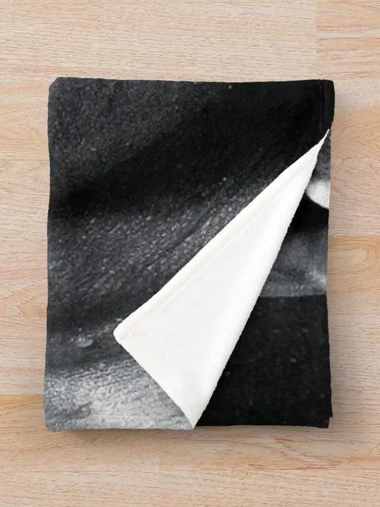 Dwayne the rock ���� ������ ���, �� �Ϳ��� ���� ���� ���, ���� ����