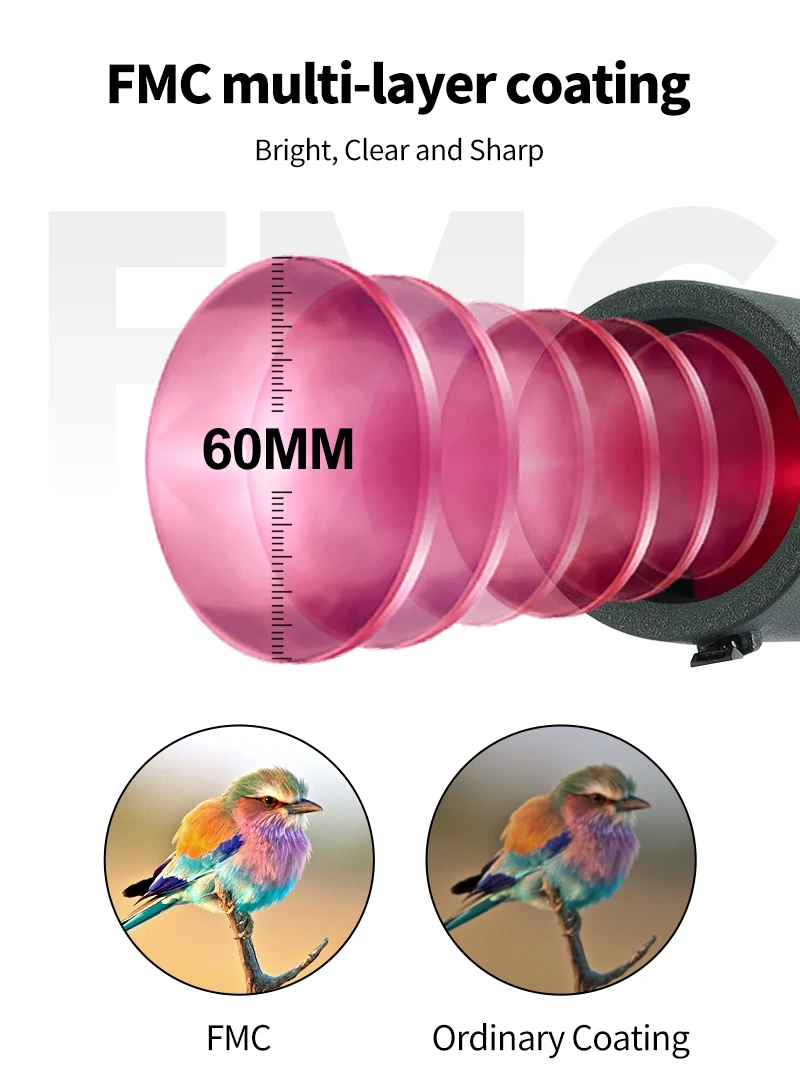 Läätse katte detailid