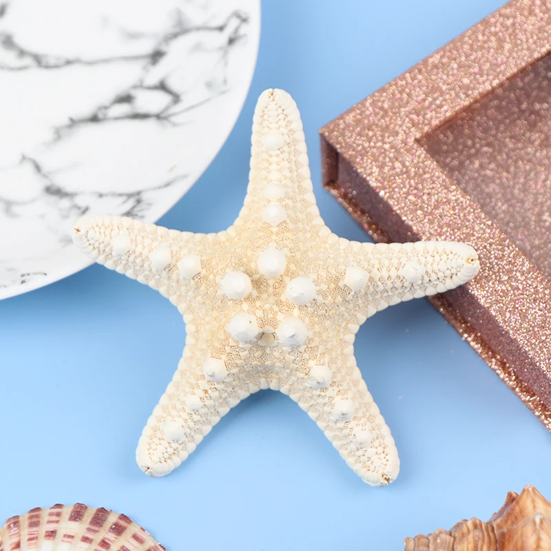 1pcs Starfish Crafts Decor Starfish DIY Shell Sea Fish Party Beige Decor