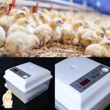  Incubadora de huevos de codorniz para aves, herramienta automática de incubación para granja, 220V, EU/US 