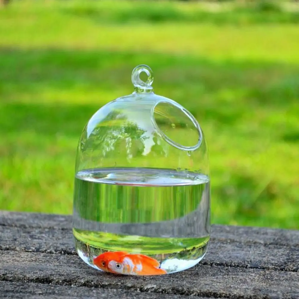 Hanging Glass Aquarium 6
