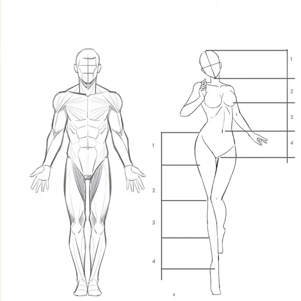 Praticare la struttura del corpo umano Line Draft Libri di esercitazione Arte Tracciare Schizzo Arte Copia Libro di pratica Libri tutorial dipinti a mano - immagine 4
