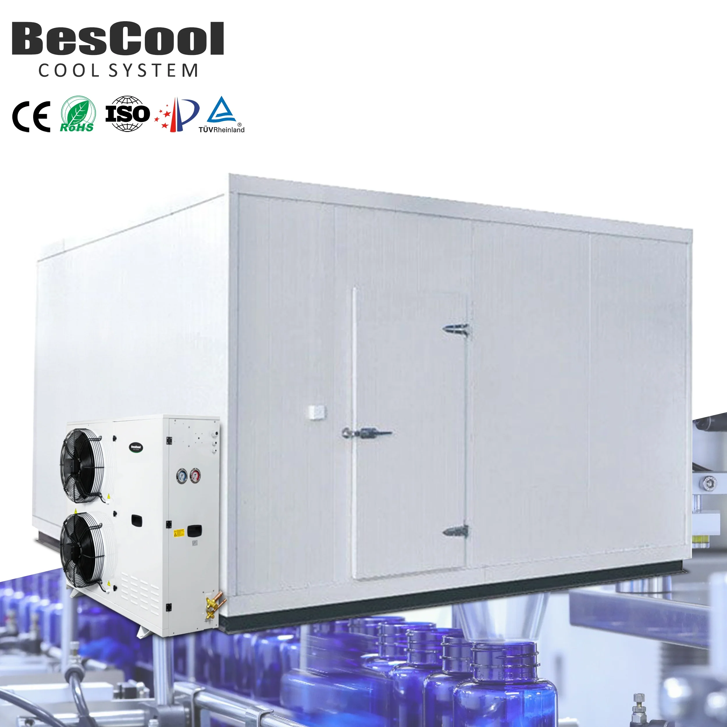 Cold Room Storage Cooling System Freezer Unit Walk in Cooler for Fruit and Florist Refrigerator Container