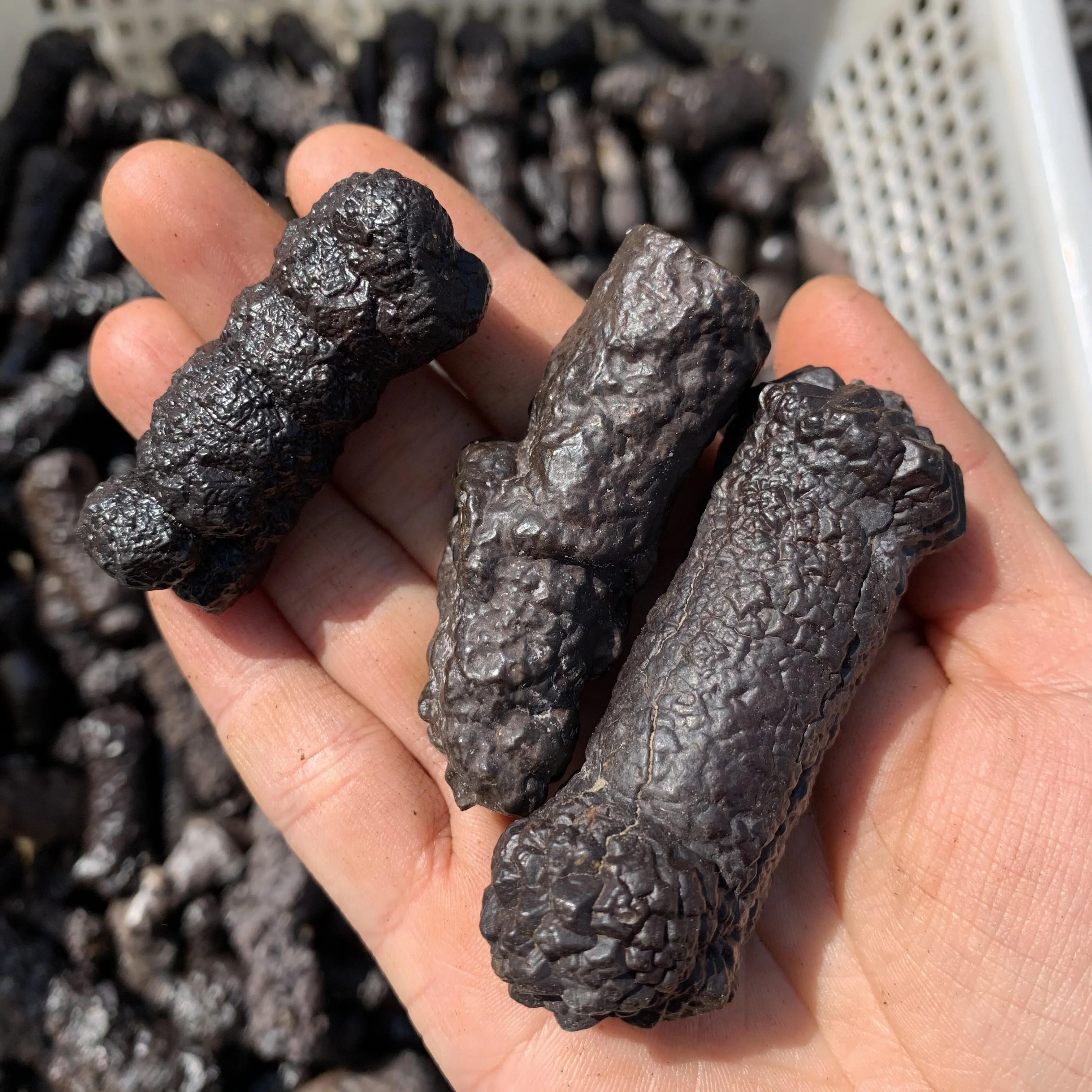 Prophecy Stone amulet Natural Limonite Rough Stones Mineral Specimen 3