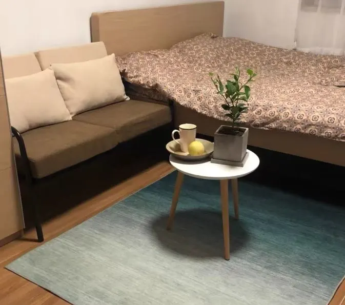 Modern Minimalist Bedroom Decor Solid Color Carpet Home Washable Mat Large Area Study Rug Light Luxury Carpets for Living Room photo review