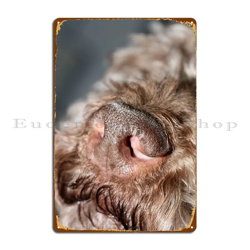 Lagotto Romagnolo Naso Metal Sign Design Wall Decor Garage Design Retro Tin Sign Poster