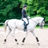 4 Pcs Horse Leg Boots Adjustable Front Hind Leg Tendon Protect Equestrian PU Shell and High-Quality Neoprene 3