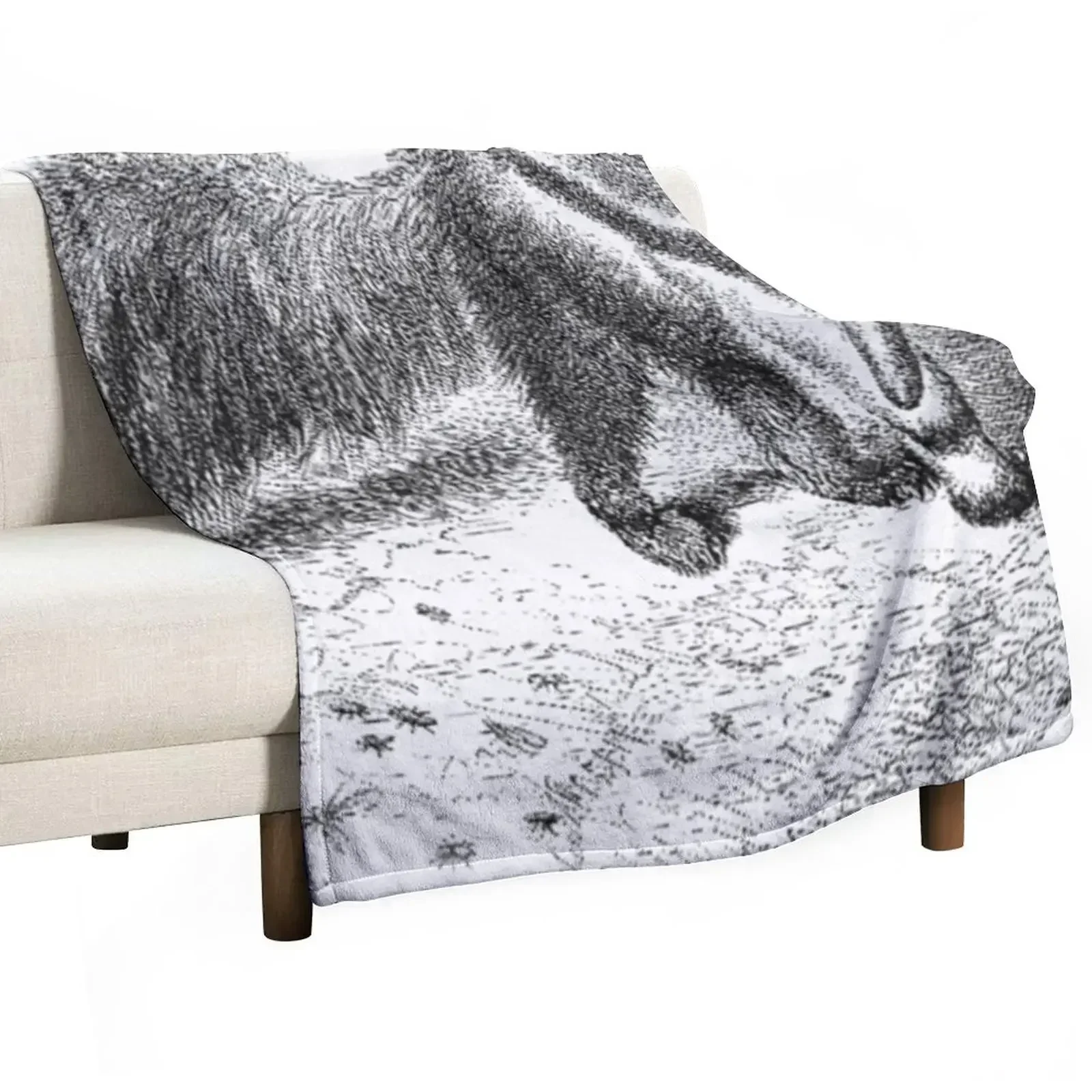 

New Giant anteater from Eccentricities of Animal Creation Throw Blanket Blankets Sofas Of Decoration Decoratives Blankets