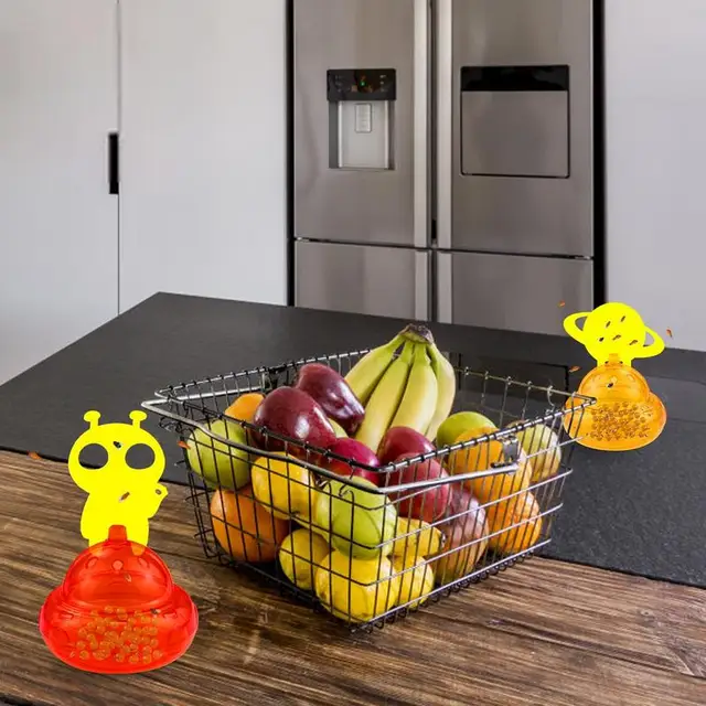 Gyümölcsleples Csapdák Beltéri Gnat Fogó Készlet Könnyen Megtisztíthatók Háztartási Készletek Rovarcsapdát A Kempinghez Kültéri - Image 4