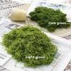 20g/bag Simulation vine model grass microlandscape material Artificial moss fo garden accessories suitable fo lawn decoration 1