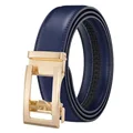 Blue-Gold Buckle