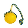 EVA pet toy ball dog floating  training dog pull ring bite resistant teeth grinding pet ball wear rope ball 3