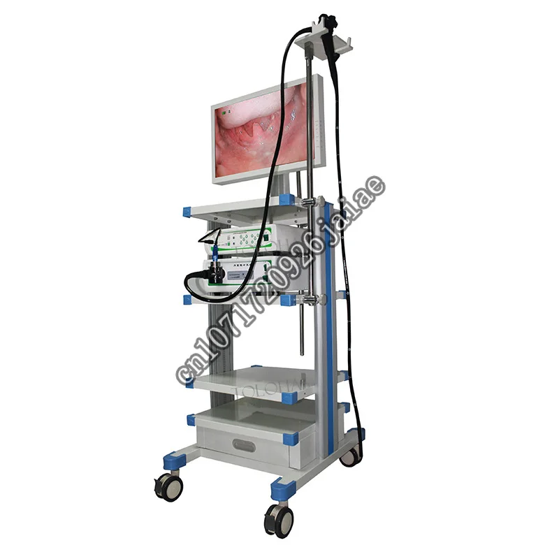 Рисунок 2 - LHPMV200 медицинская HD Гибкая