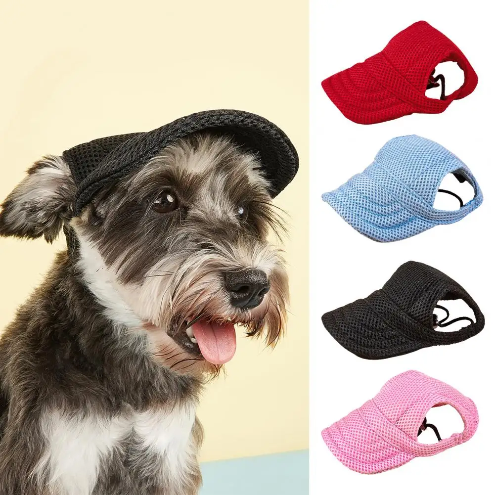 small dog hats