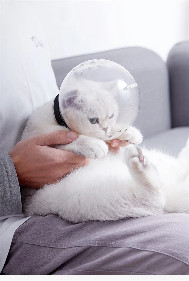Kitten Space Hood Suitable 9-10.6 Inch Neck Pet Cat Astronaut Cat Hood Breathable Kitten Head Protective Cover Biting Chewing Grooming Restraint Pet Supplies Transparent Cat Muzzle Mouth Guard L 