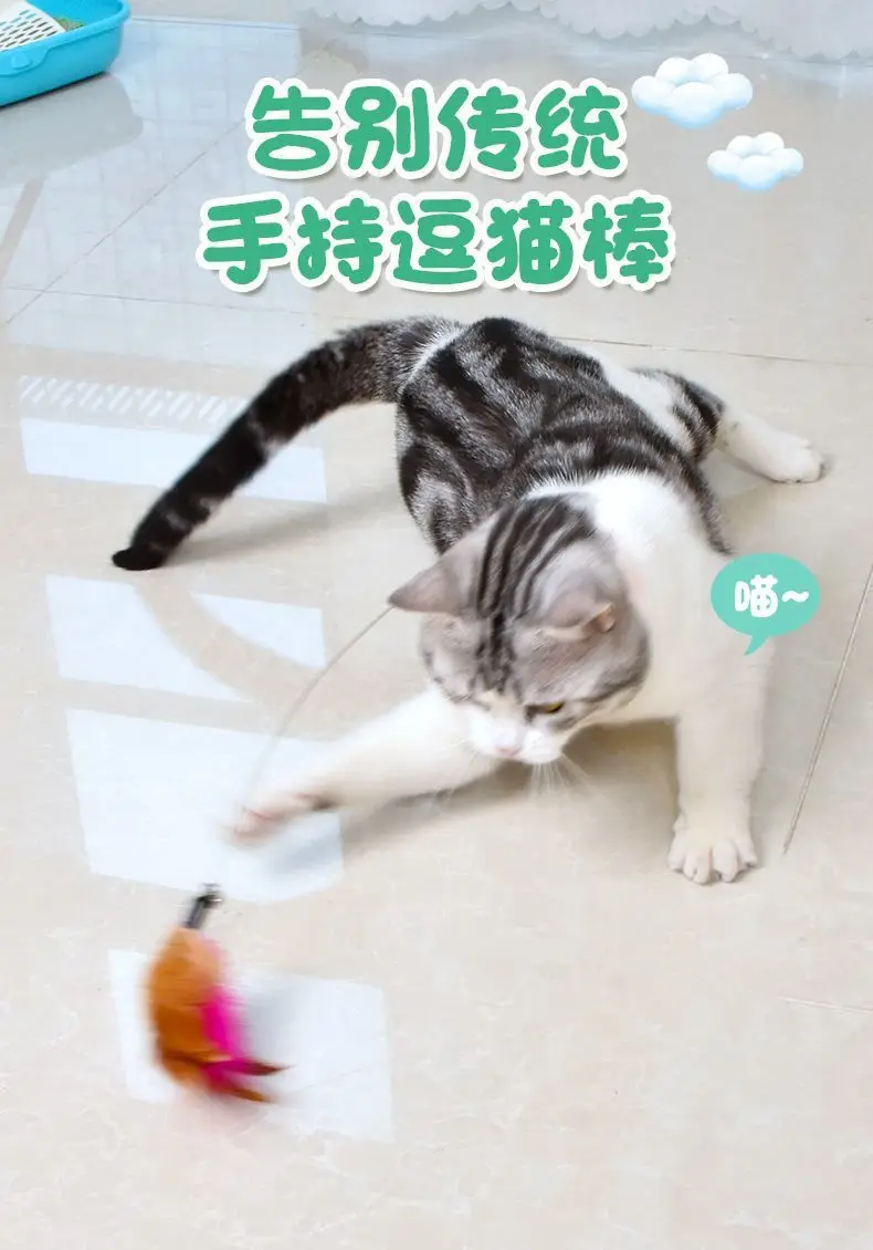 10개입 핸즈프리 목걸이형 고양이 놀리개 막대, 깃털 스틸 와이어 셀프 엔터테인먼트 고양이 장난감